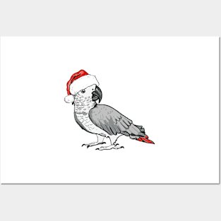 Christmas Parrot Posters and Art